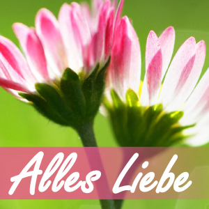 Alles Liebe - M22