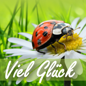 Viel Glück - M27