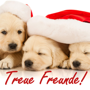 Treue Freunde - M34