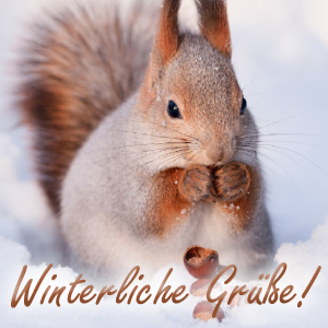 Winterliche Grüße - M53