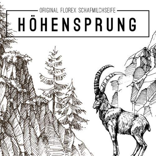 Höhensprung