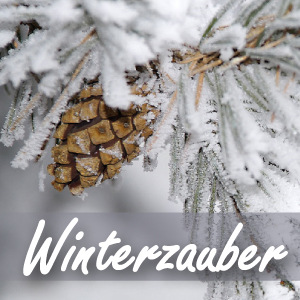 Winterzauber - M1