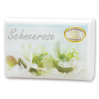morepic-4