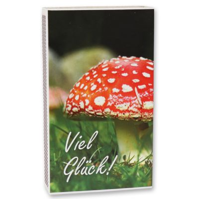 Zündhölzer groß, "Viel Glück" 