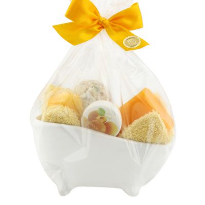 Wellness set 6 pieces in a cellophane bag, Apricot 