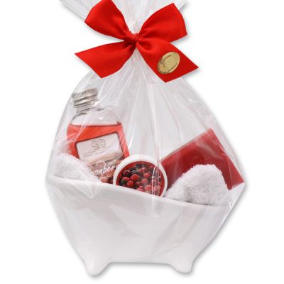 Wellness set 5 pieces in a cellophane bag, Cranberry 