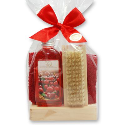 Care set 4 pieces in a cellophane bag, Cranberry 