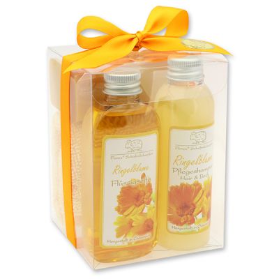 Klarsichtbox Set 4-teilig, Ringelblume 