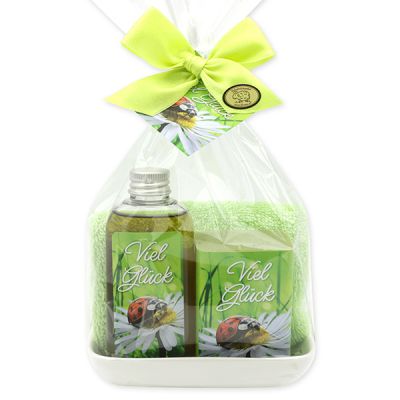 Care set 4 pieces in a cellophane "Viel Glück", Verbena 