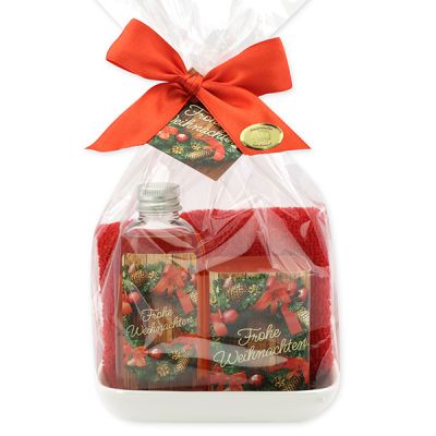 Care set 4 pieces in a cellophane "Frohe Weihnachten", Pomegranate 