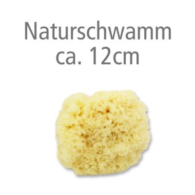 Naturschwamm ca. 12cm ohne Verpackung 