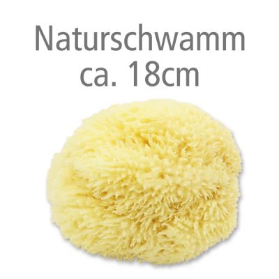 Naturschwamm ca. 18cm ohne Verpackung 